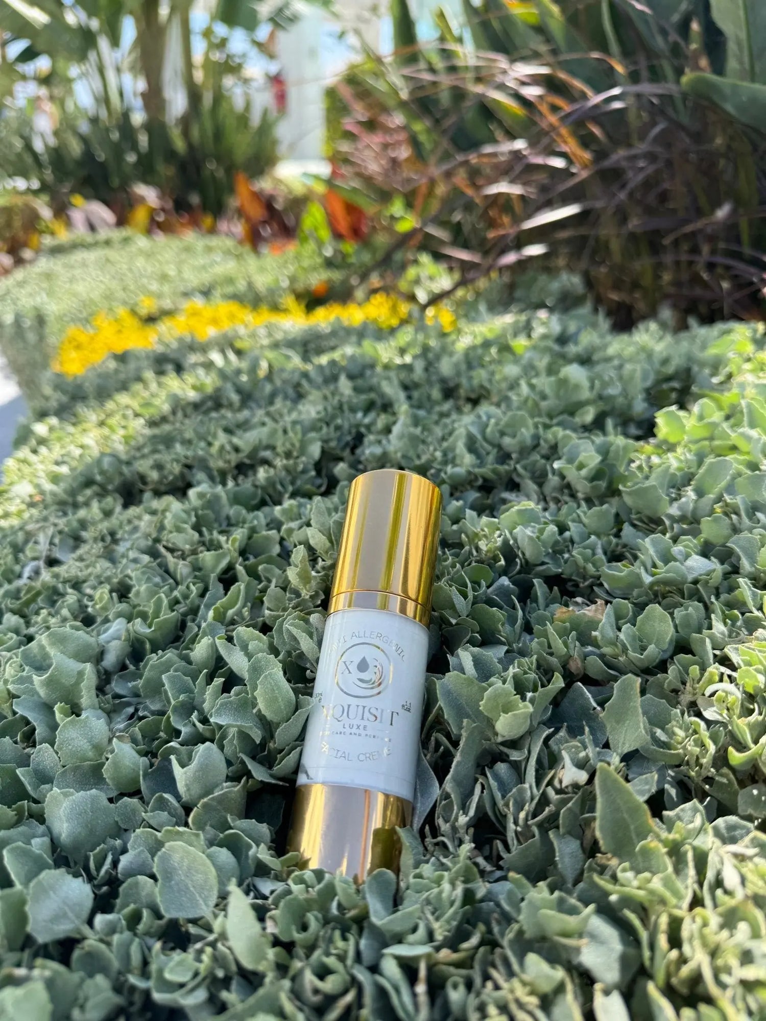 Moisturiser for eczema, acne  and sensitive skin - Xquisit Luxe skincare & Perfume