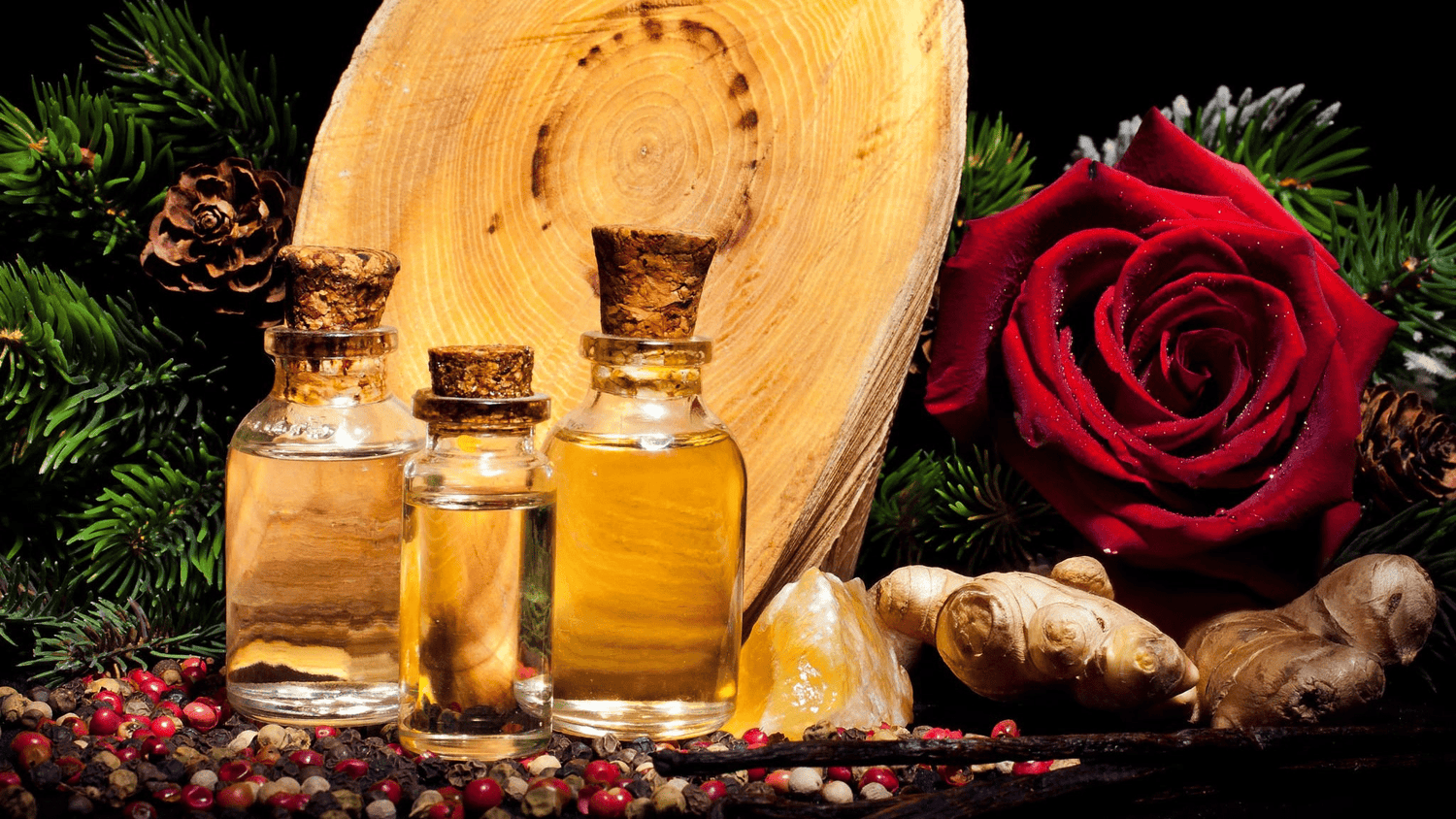 Oud Perfume Oil - Xquisit Luxe skincare &amp; Perfume
