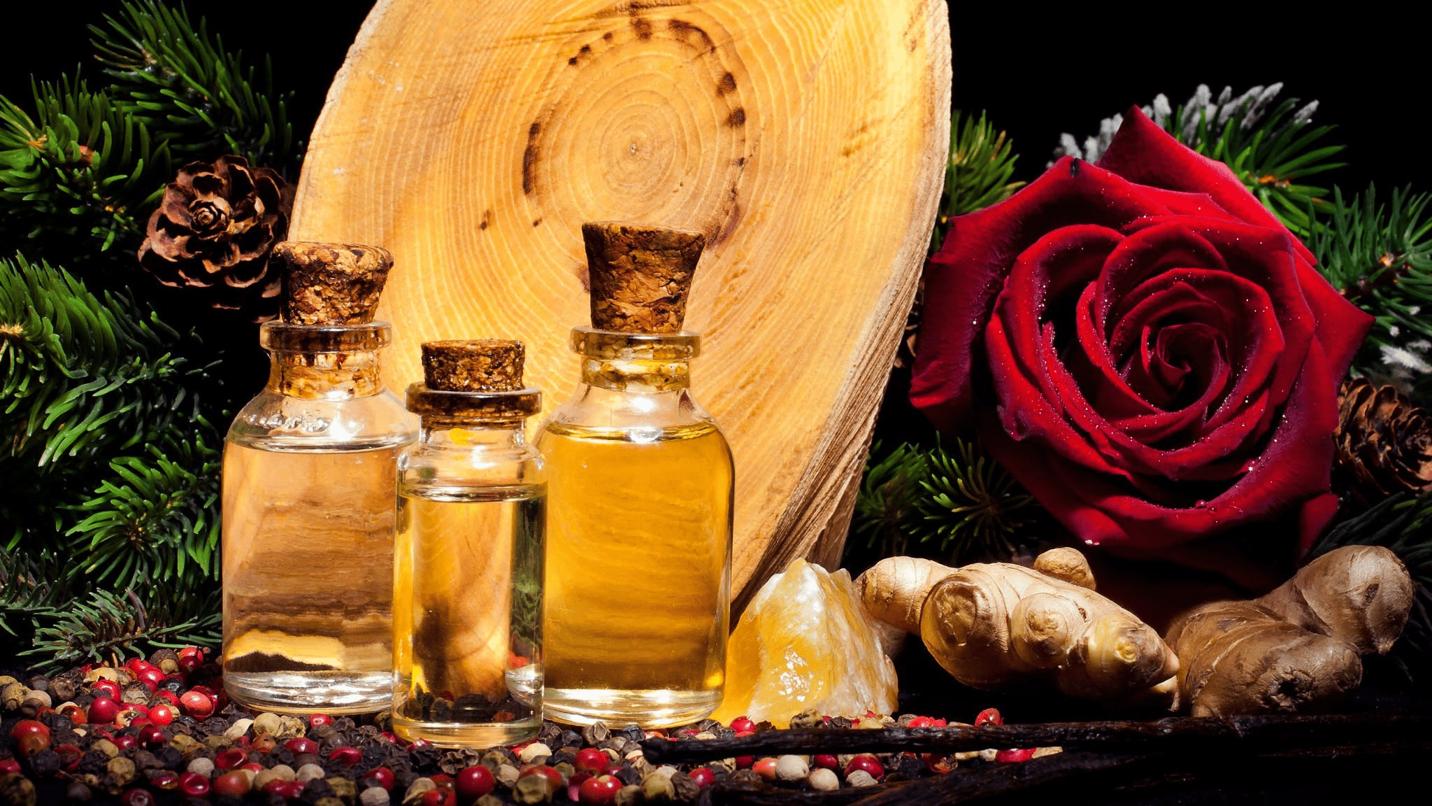 Oud Perfume Oil - Xquisit Luxe skincare & Perfume