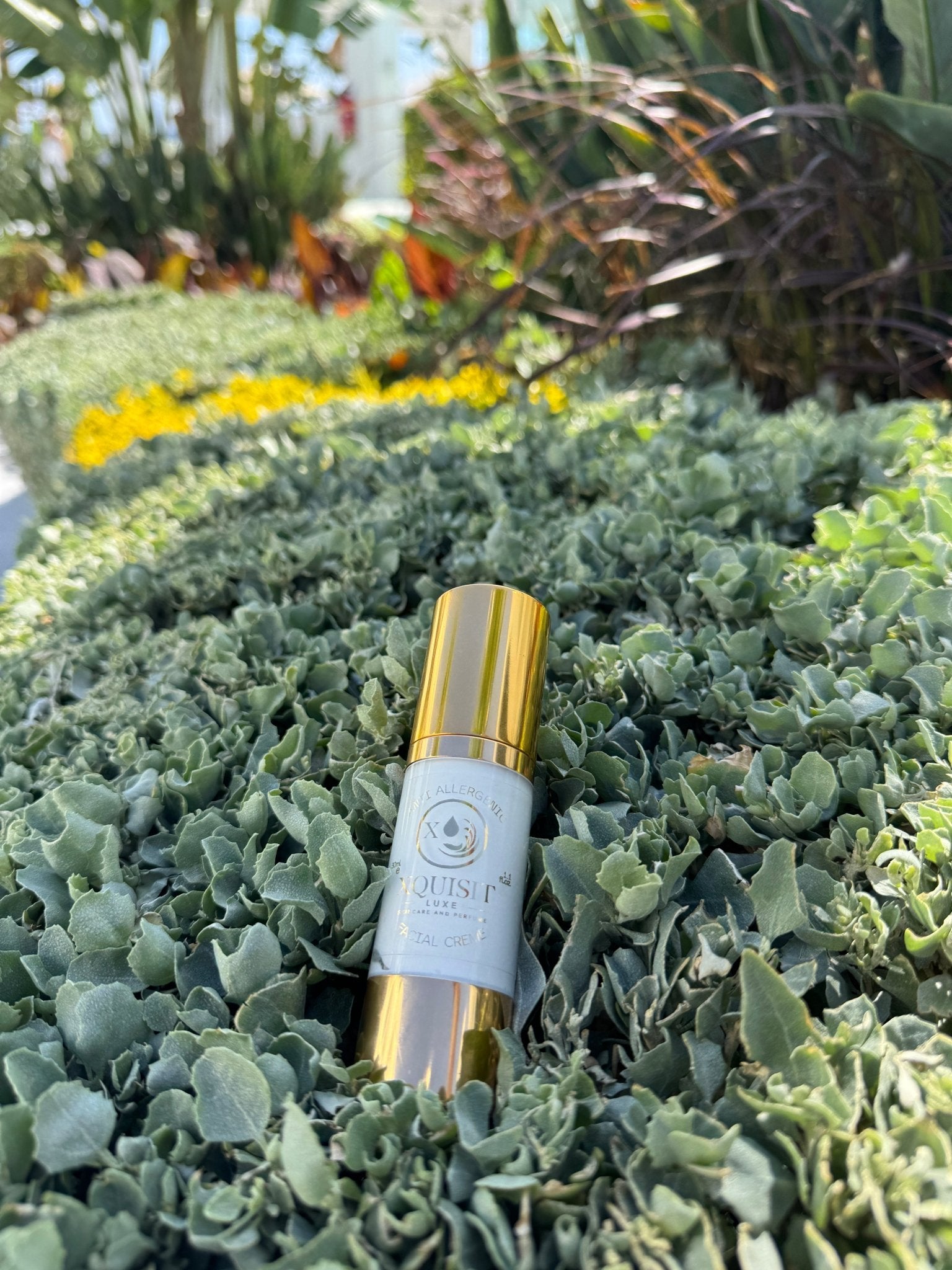 Anti - Allergic Facial Moisturiser Creme - Xquisit Luxe skincare &amp; Perfume